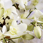 bloom'd White Orchid Vase