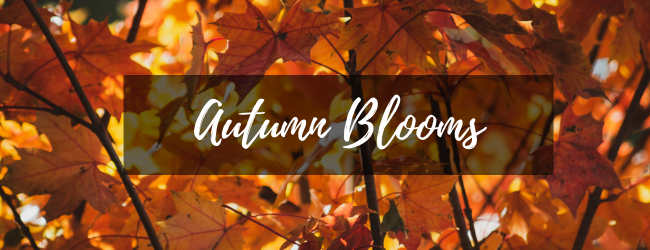 Brighten Up Your Home With the Shades of Autumn