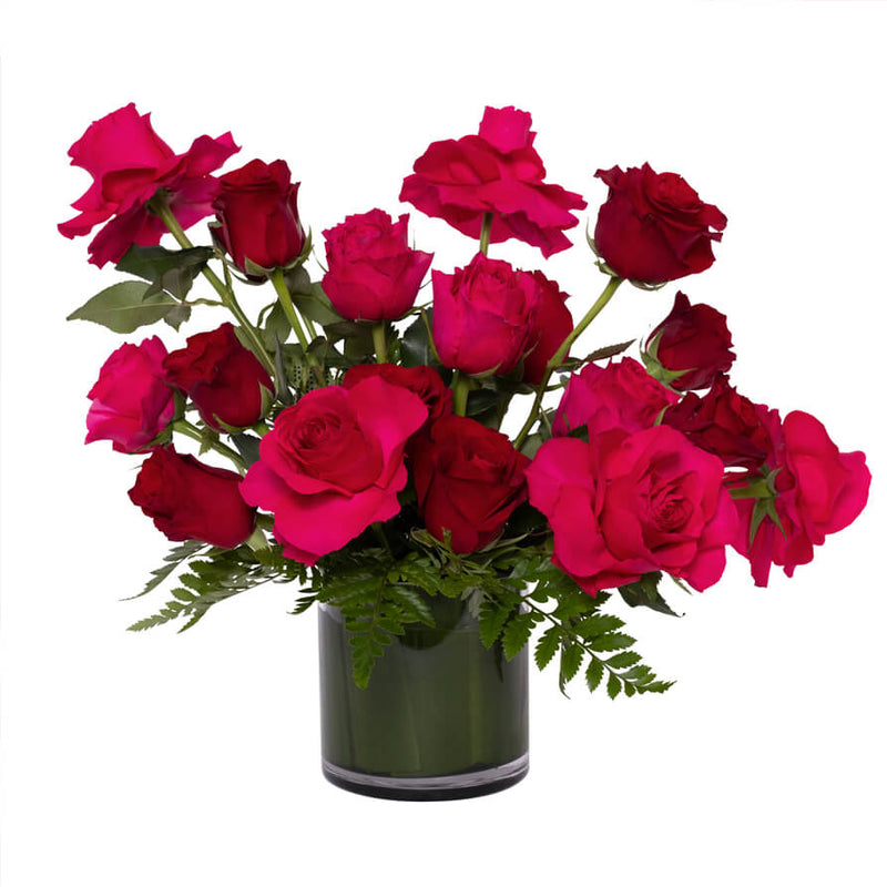 Dancing Hot Pink & Red Roses Vase