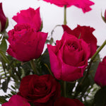 Dancing Hot Pink & Red Roses Vase