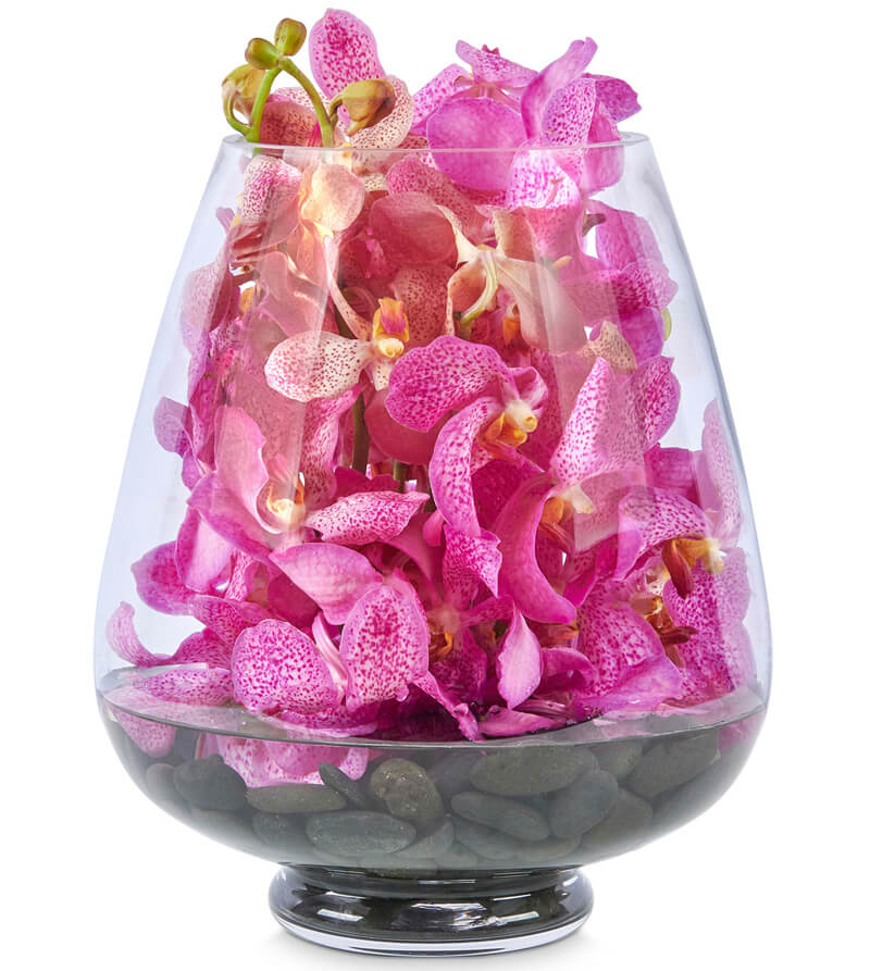 Orchid Hot Pink Tear Drop Vase