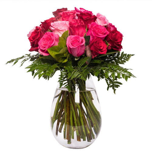Pink and Red Roses in a Vase