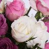 Dancing Pink & White Roses