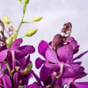 Neapolitan Orchid Cube