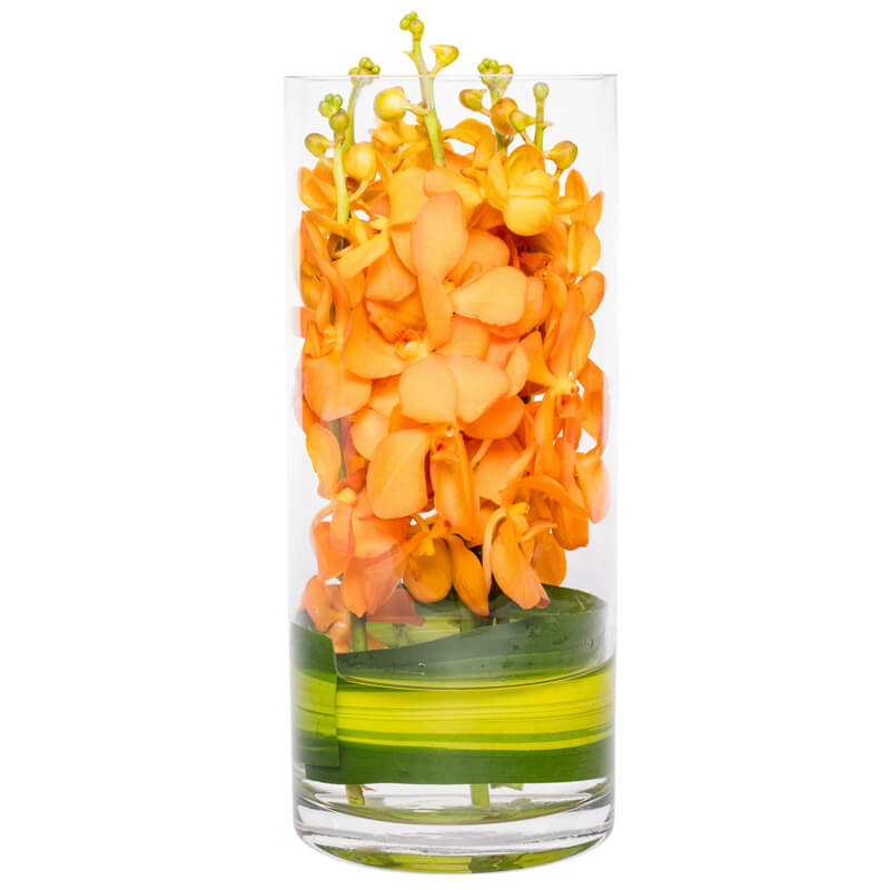 bloom'd Orange Orchid Vase