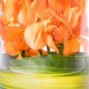 bloom'd Orange Orchid Vase