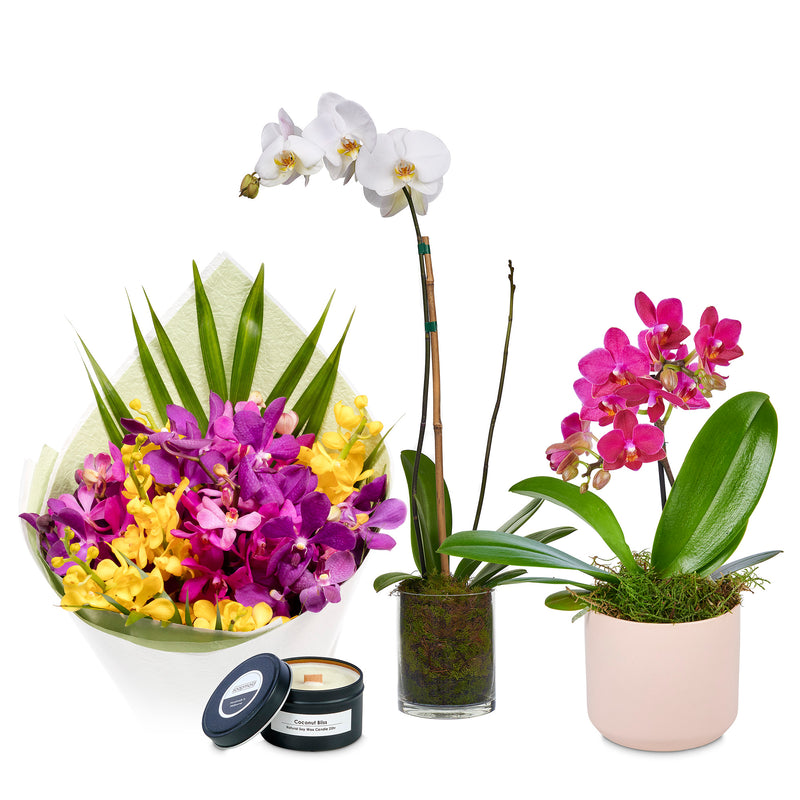 Orchid Lover Gift Pack