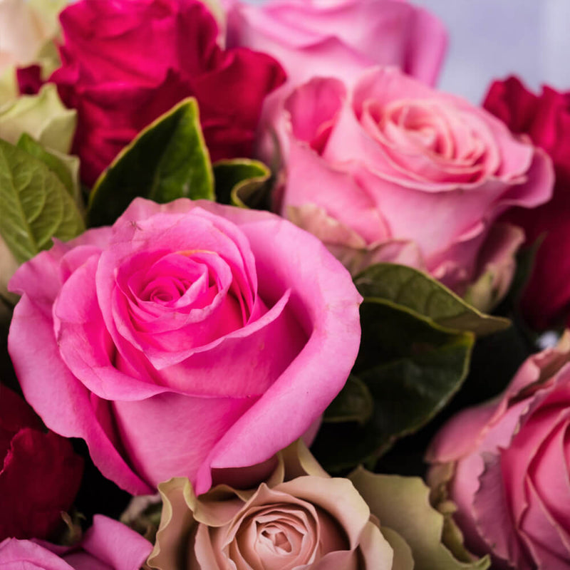 bloom'd Pink Rose Vase