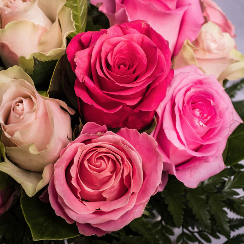bloom'd Pink Rose Mix – Bloom'd