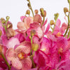 Pink Vanda Orchid Fishbowl