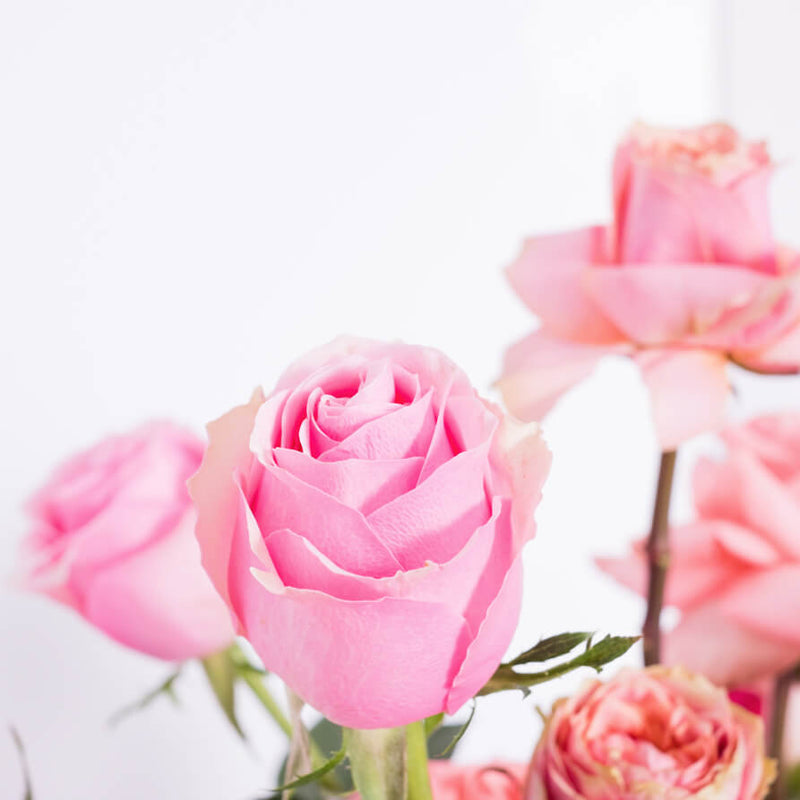 Dancing Pink Roses Vase
