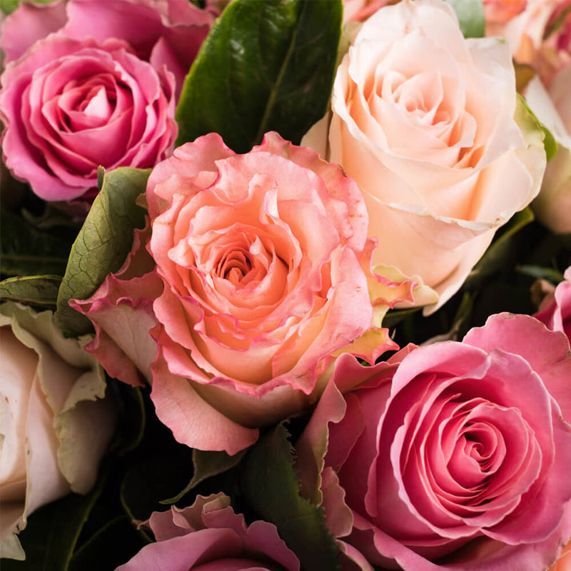 Soft Coloured Roses Vase