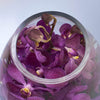 Purple Tear Drop Orchid