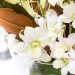 bloom'd White Orchid Vase