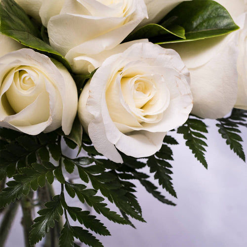 bloom'd White Rose Vase