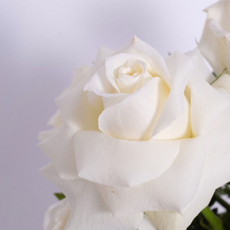 Dancing White Roses Vase