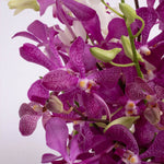 White & Purple Orchid Fishbowl