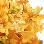 Yellow & Orange Orchid Fishbowl