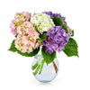 bloom'd Hydrangea Vase